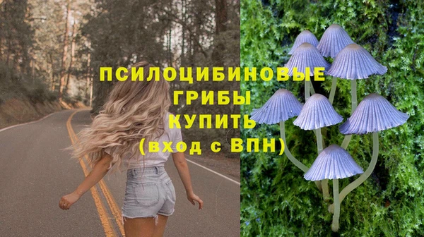 прущий лед Абаза